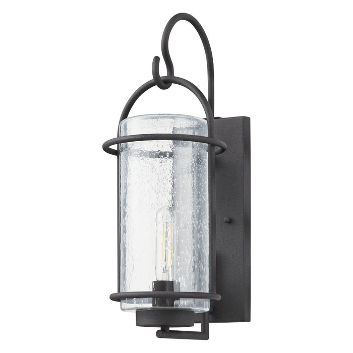 1 Light Exterior Wall Sconce / Murale Exterieure 1 Light | 207137A