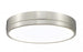 1 Light Flush Mount | 1006F16-BN-LED
