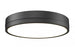 1 Light Flush Mount | 1006F16-MB-LED