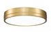 1 Light Flush Mount | 1006F16-MGLD-LED