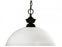 1 Light Pendant | 100701BRZ-DMO14