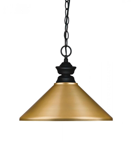 1 Light Pendant | 100701MB-MSG