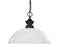 1 Light Pendant | 100701OB-DWL14