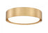 1 Light Flush Mount | 1014F12-MGLD-LED
