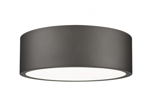 1 Light Flush Mount | 1017F12-BRZ-LED