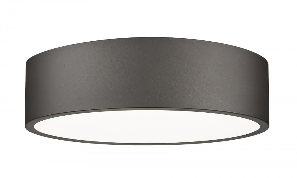 1 Light Flush Mount | 1017F16-BRZ-LED