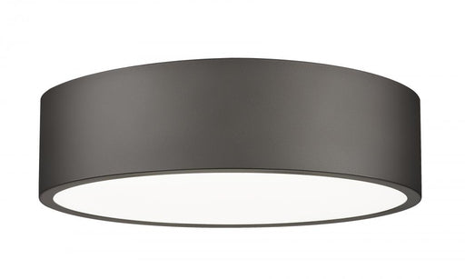 1 Light Flush Mount | 1017F16-BRZ-LED