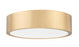 1 Light Flush Mount | 1017F16-MGLD-LED