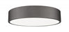 1 Light Flush Mount | 1017F20-BRZ-LED