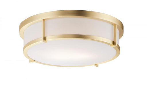 Rogue E26-flush Mount | 10270WTSBR