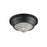 Hargreaves-flush Mount | 10390PRBK