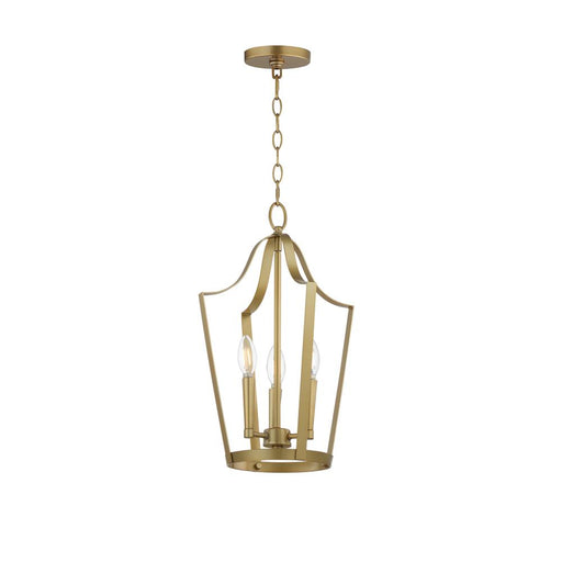 Arden-entry Foyer Pendant | 10423NAB