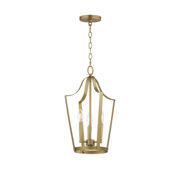 Arden-entry Foyer Pendant | 10423NAB