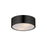 Tommy-flush Mount | 10494WTBK