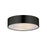Tommy-flush Mount | 10496WTBK
