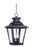 Knoxville-outdoor Hanging Lantern | 1139CLBZ