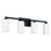 4 Light Vanity | 119841BI-545
