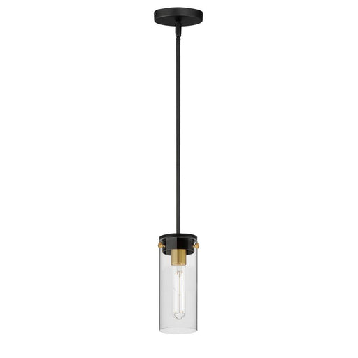 Pinn-mini Pendant | 12406CLBKSBR