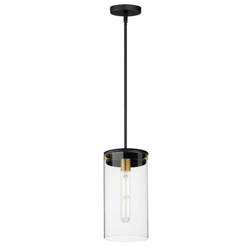 Pinn-single Pendant | 12408CLBKSBR