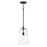 Hudson-single Pendant | 12886CLBK