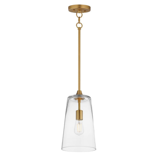 Hudson-single Pendant | 12886CLNAB