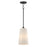 Hudson-single Pendant | 12886SWBK