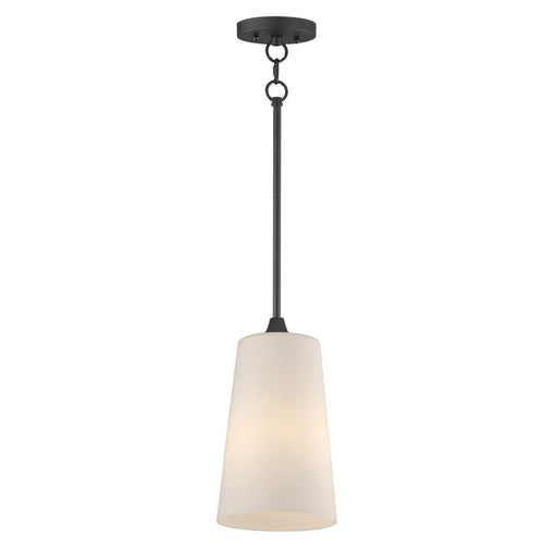 Hudson-single Pendant | 12886SWBK