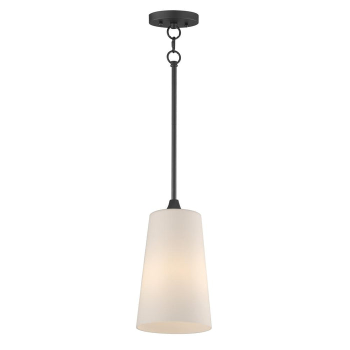 Hudson-single Pendant | 12886SWBK