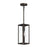 Ryle One-light Outdoor Pendant Light With Clear Glass Panels | P550146-020