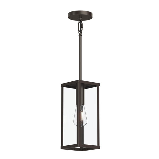 Ryle One-light Outdoor Pendant Light With Clear Glass Panels | P550146-020