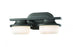2 Light Vanity | 1917-2V-BRZ-LED