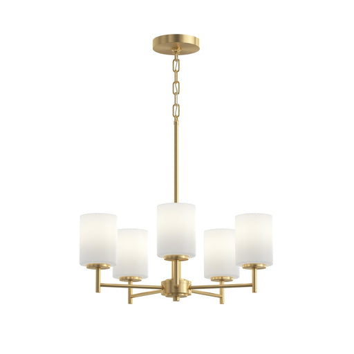 P4319-191 5-100w Med Chandelier | P4319-191