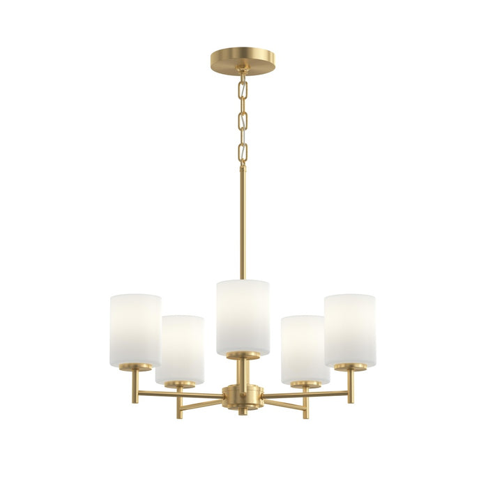 P4319-191 5-100w Med Chandelier | P4319-191
