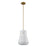 1 Light Convertible Pendant Light / Luminaire Suspendu Convertible 1 Light | 206925A