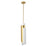 1 Light Pendant Light / Luminaire Suspendu 1 Light | 206929A