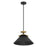 1 Light Pendant Light / Luminaire Suspendu 1 Light | 207318A