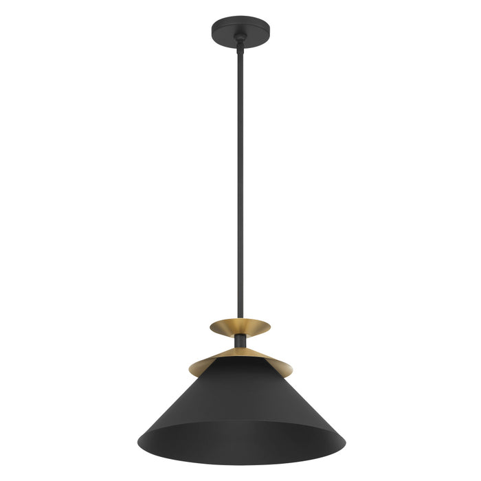 1 Light Pendant Light / Luminaire Suspendu 1 Light | 207318A