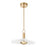 Led Convertible Pendant Light / Luminaire Suspendu Convertible Del | 207396A