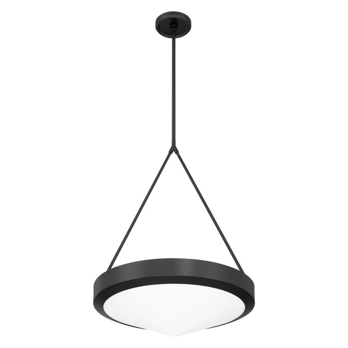4 Light  Pendant Light / Luminaire Suspendu 4 Light | 207423A