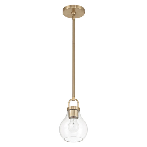 1 Light Pendant Light / Luminaire Suspendu 1 Light | 207646A