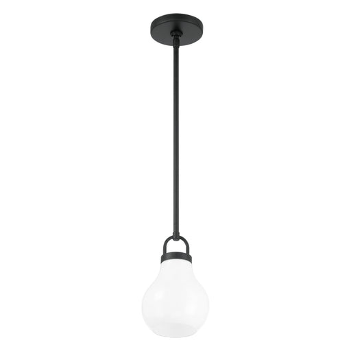 1 Light Pendant Light / Luminaire Suspendu 1 Light | 207649A