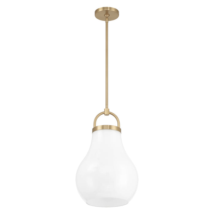 1 Light Pendant Light / Luminaire Suspendu 1 Light | 207654A