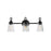 Jackson Hole-bath Vanity | 21393CLBK
