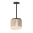 Draughtsman- Flush Mount | 21714SWNWDCHL