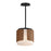 Draughtsman- Flush Mount | 21714SWWNBK