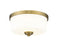 2 Light Flush Mount | 220F2-HBR