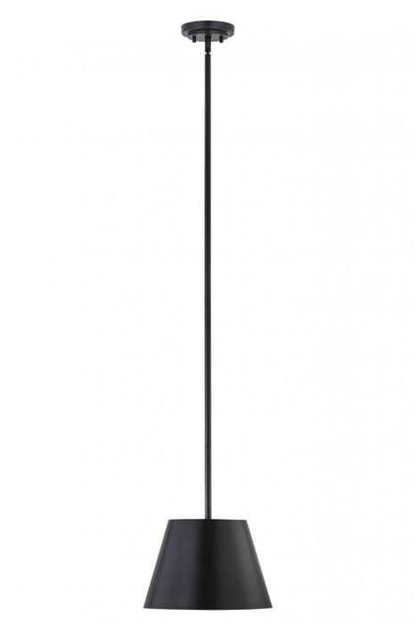 1 Light Pendant | 2307-12MB
