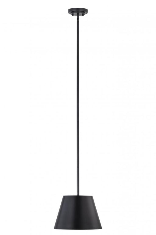 1 Light Pendant | 2307-12MB