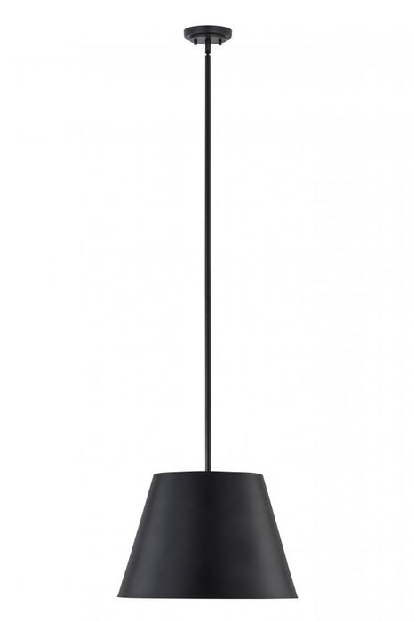1 Light Pendant | 2307-18MB