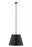 1 Light Pendant | 2307-24MB